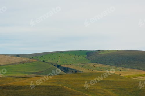 Preview: agricultural fields for growing grain crops of wheat and rye. Farming agricultural policy of