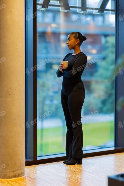 Preview: Woman looking through large window