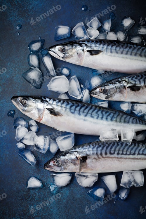 Preview: Raw mackerel fish with ingredients for cooking on a blue concrete or stone background. Selective foc