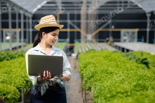 Preview: A gardener woman holding laptop in the hydroponics field grows wholesale hydroponic vegetables in re