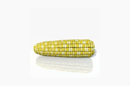 Preview: Image of corn with mirrored reflection