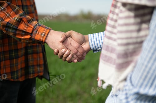 Preview: Indian and European farmers stand in a field of green wheat