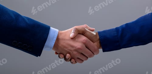 Preview: Caucasian and african american business people shaking hands, isolated on grey background