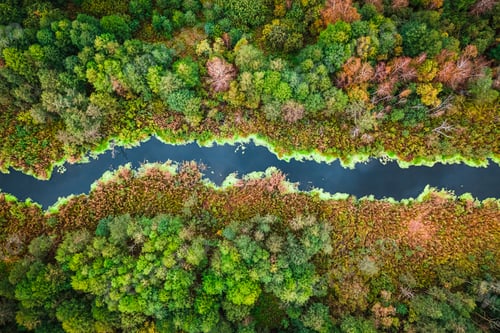 Preview: Blue river and swamp in autumn, aerial view