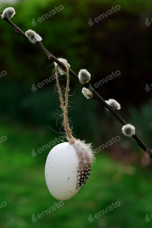 Preview: Easter Egg with feather hanging from a Willow Branch on green nature background