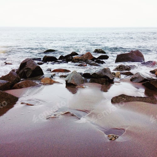 Preview: Ricky shores