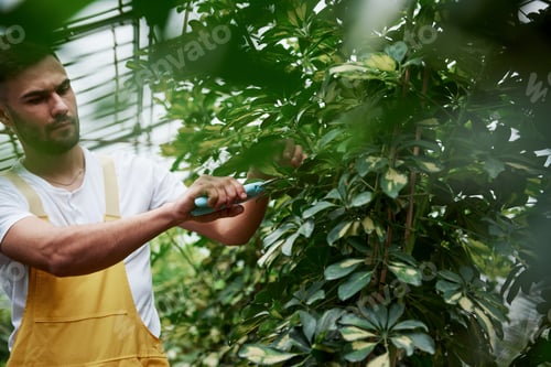 Preview: Front view. Attractive stylish bearded man works in hothouse