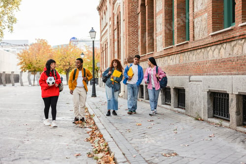 Preview: Multi ethnic students walking and talking on sidewalk near school