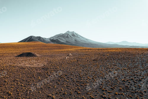 Preview: Car in front of Volcanic mountains in San Pedro de Atacama Chile