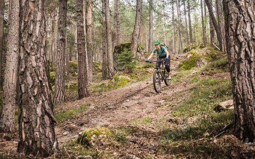 Preview: Woman mountain biking in forest, Bozen, South Tyrol, Italy
