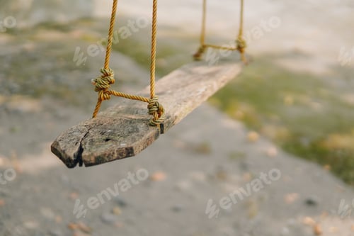 Preview: A swing made from wood hanging on a tree in the park, natural background.