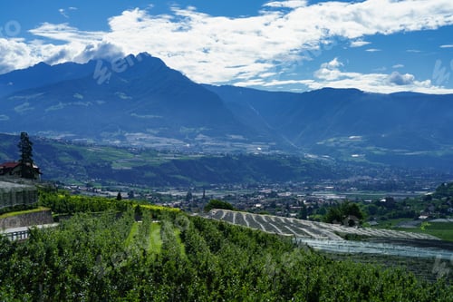 Preview: Summer landscape along the cycleway of the Venosta valley