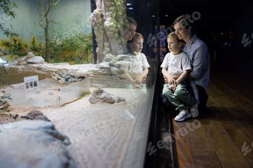 Preview: Aquarium Adventure, Mother and Child Marvel at the Diverse Species