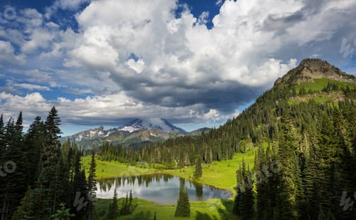 Preview: Mt Rainier