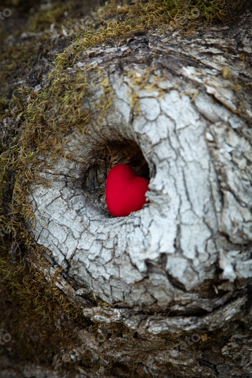 Preview: Filled with love
