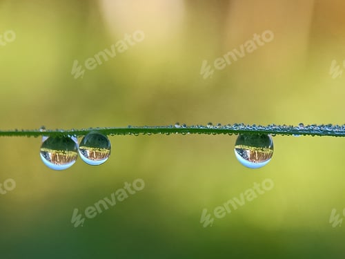 Preview: Water droplet