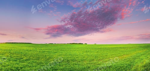 Preview: Countryside Rural Field Or Meadow Landscape With Green Grass Under Scenic Spring Sunset Sunrise Sky