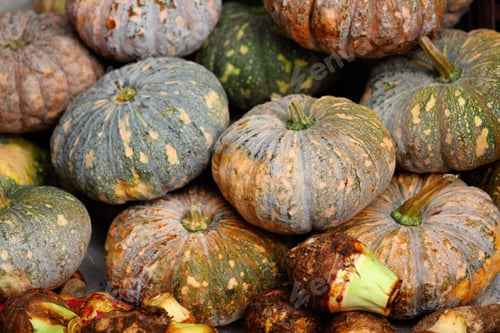 Preview: Pumpkin
