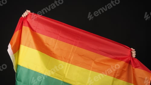 Preview: LGBTQ flag or Lesbian Gay Bi sexsual Transgender Queer or homosexsual pride
