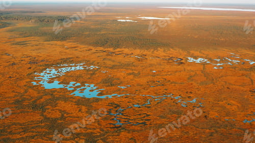 Preview: Miory District, Vitebsk Region, Belarus. The Yelnya Swamp. Upland And Transitional Bogs With
