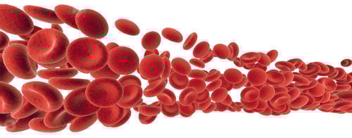 Preview: red cells in blood stream isolated on white, 3S illustration
