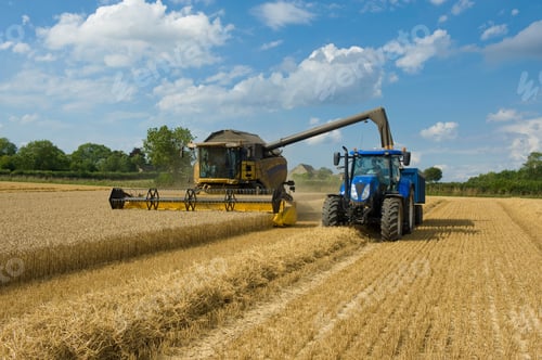 Preview: Combine harvester and tractor harvesting wheat in wheatfield