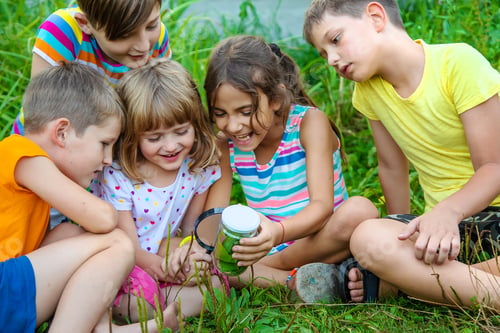 Preview: Children look at a magnifying glass on the nature. Selective focus.