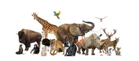 Preview: Large group of wild zoo animals standing and sitting together