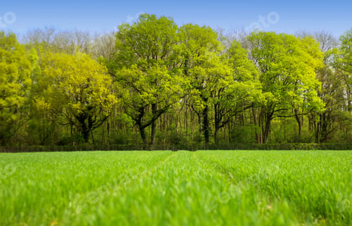 Preview: Pure green