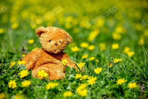 Preview: Teddy bear toy on meadow with flowers in spring
