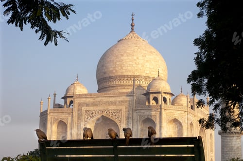 Preview: Taj Mahal, famous historical monument, UNESCO World Heritage Site.