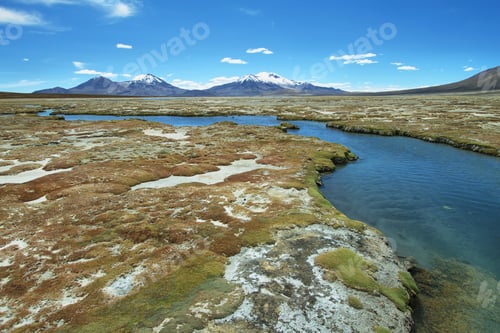 Preview: "Polloquere" hot Springs in "Salar de Surire" national park"