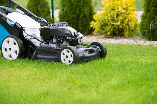 Preview: lawn mower in the garden.