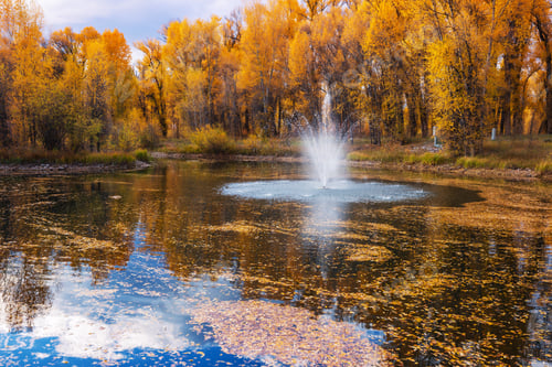 Preview: Autumn park
