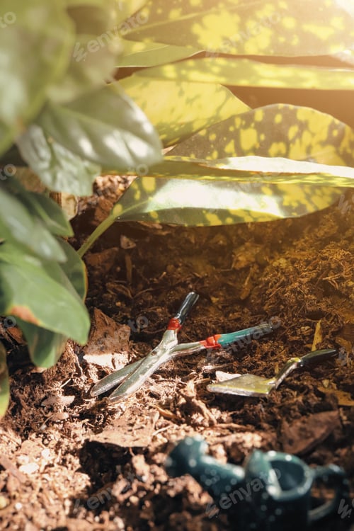 Preview: Gardening Tools In Soil