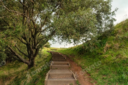 Preview: Old growth forest and pathway staircase with steps leading up to mountain