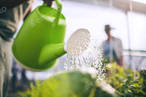Preview: Water plants, drops and agriculture with sustainability and health, greenhouse and wellness with ag