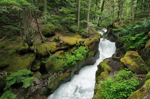 Preview: Narrow canyon of Avalanche Gorge