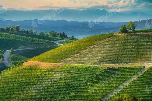 Visualização: Panorama dos vinhedos de Langhe perto de Neive, Piemonte, Itália