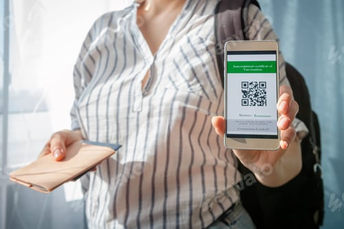 Preview: Travel.Online travel Covid passport test.Traveling quarantine,lockdown Staycation.local travel