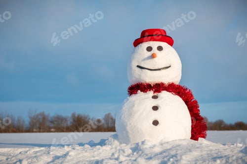 Preview: Funny snowman in stylish red hat