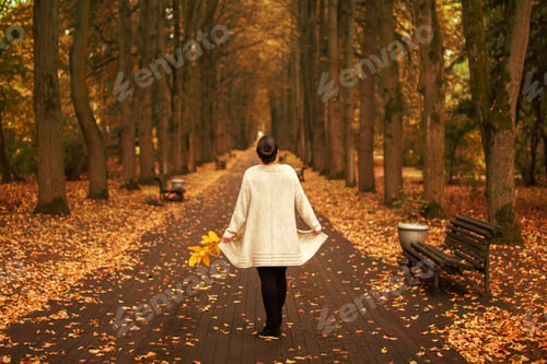 Preview: girl walking in the park in autumn
