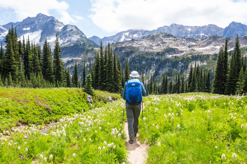 Preview: Hike in mountains