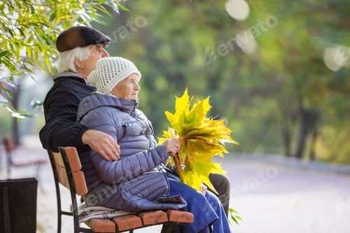 Preview: Senior couple sitting on bench in autumn park