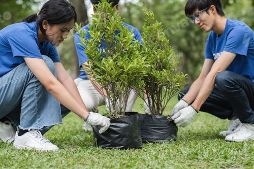 Preview: Volunteer Team Planting Trees in a Park to Promote Environmental Conservation and Community