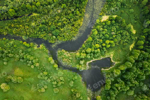 Preview: Aerial View. Green Forest, Meadow And River Marsh Landscape In Summer. Top View Of European Nature
