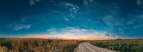 Night Starry Sky With Glowing Stars Above Countryside Landscape. Noctilucent Clouds Above Rural