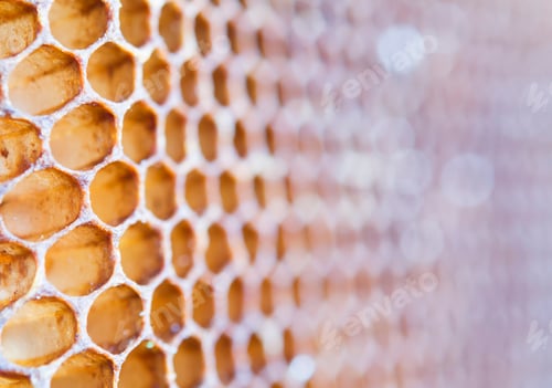 Preview: texture of honeycomb