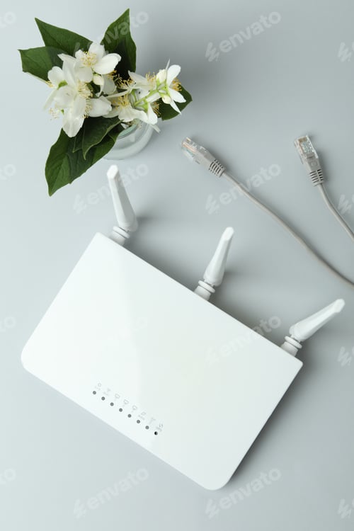 Preview: Wi-Fi router and flowers on gray background