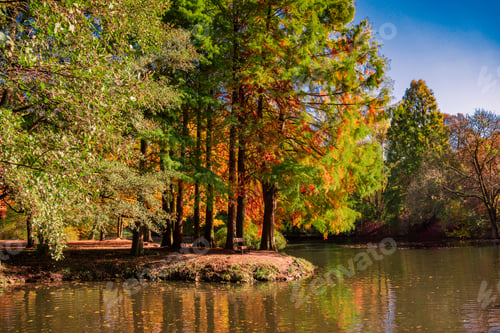 Preview: Fall Colors reflected